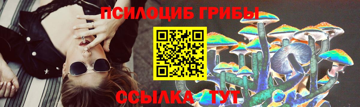 Карачаевск  Псилоцибиновые грибы Cubensis  Вход с VPN  Псилоцибиновые грибы Magic Shrooms 