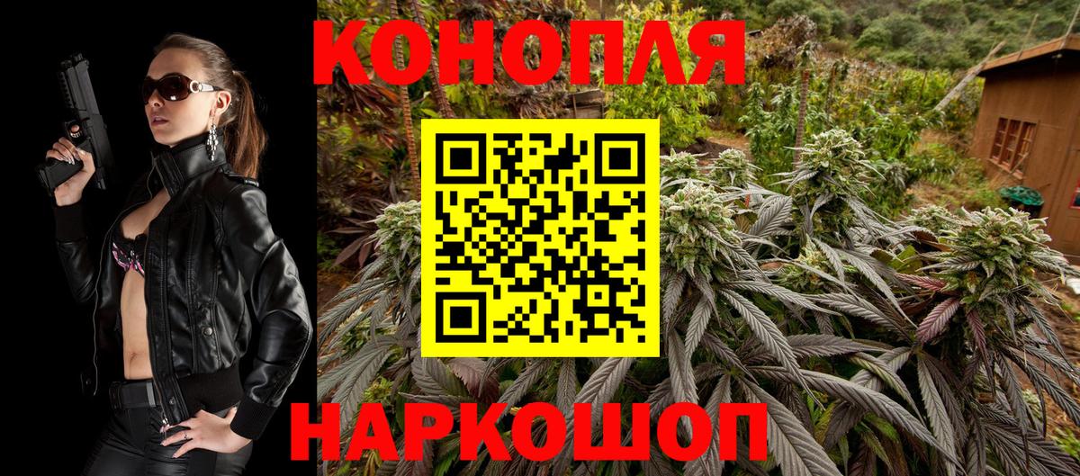 Шишки марихуана OG Kush Карачаевск